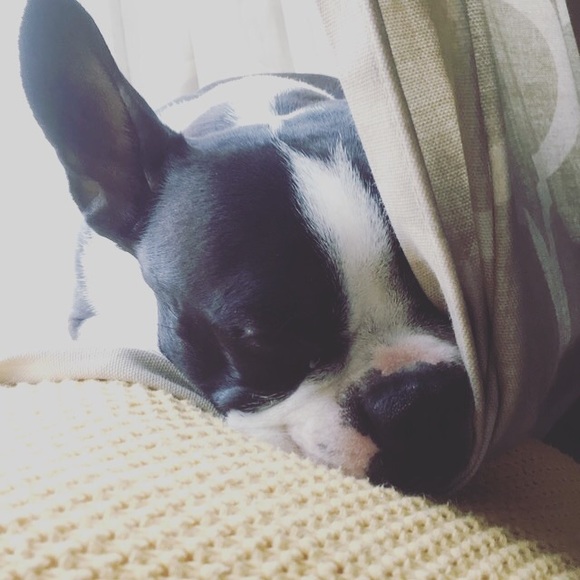 Meet your Posher, Kelsey - Picture 1 of 1